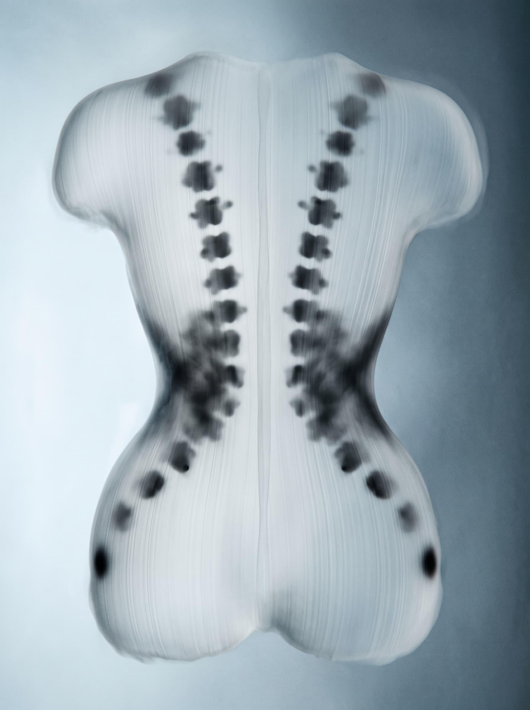 Abstract Translucent Corset Silhouette example 8