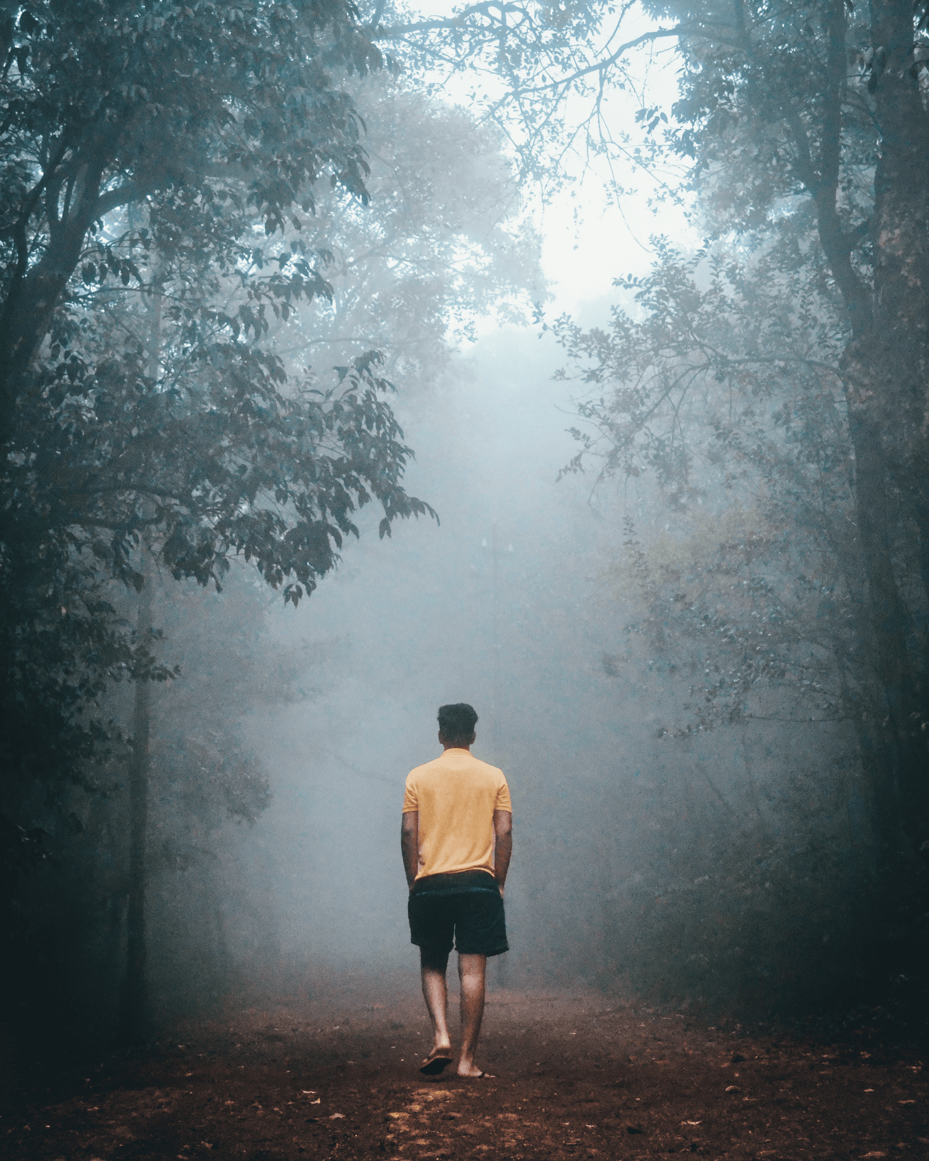 Man Walking Down Foggy Forest Trail example 27