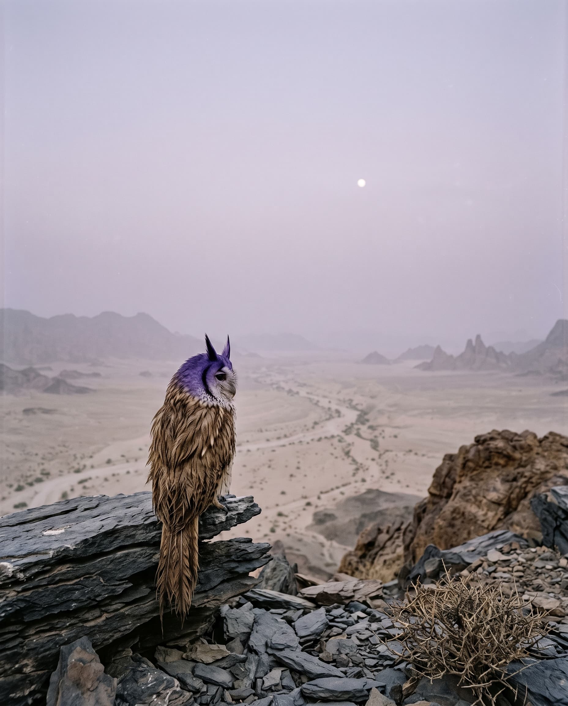 Fantasy Owl on Rocky Mountain Ridge example 8