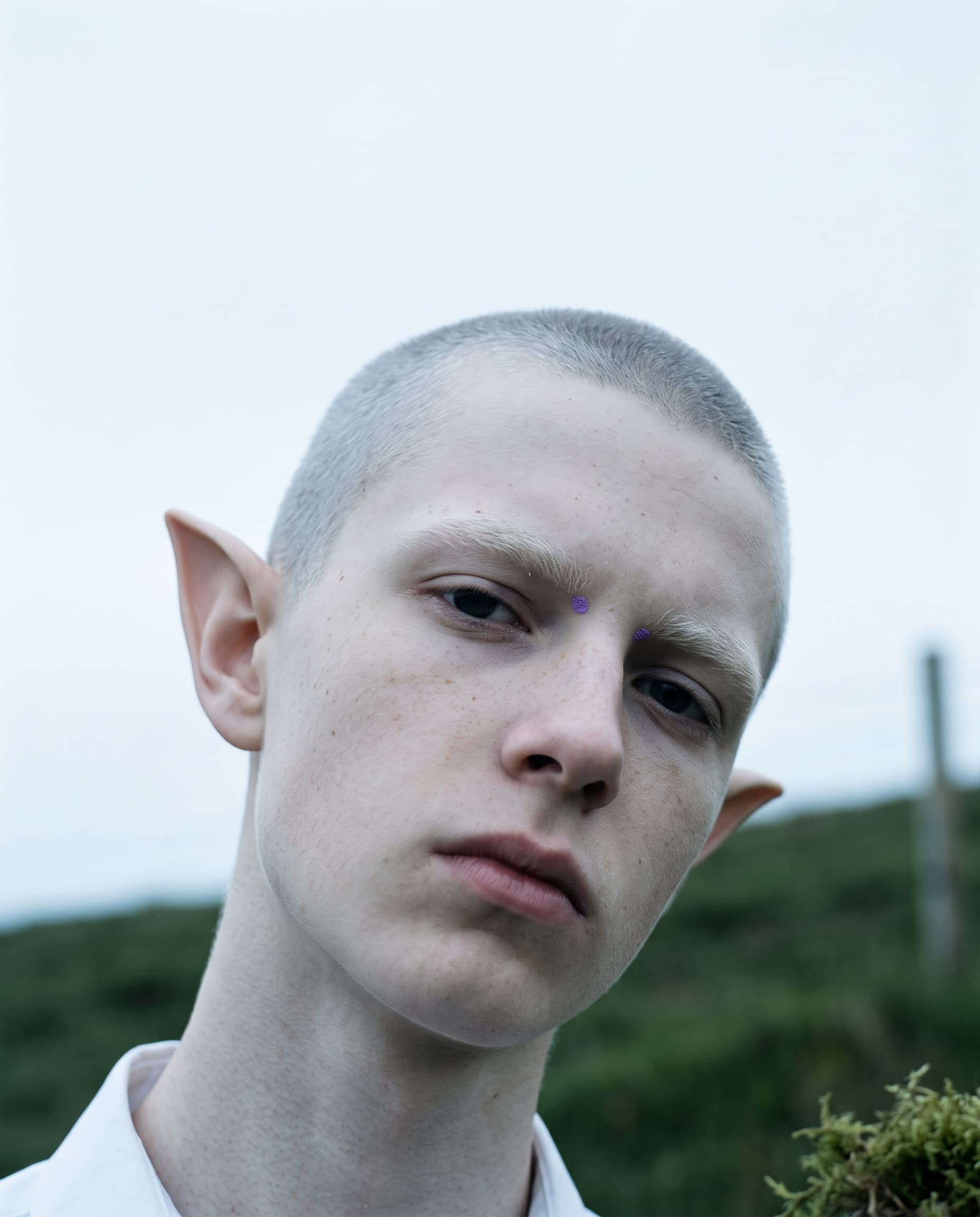 Elf Boy Portrait in Overcast Landscape example 17