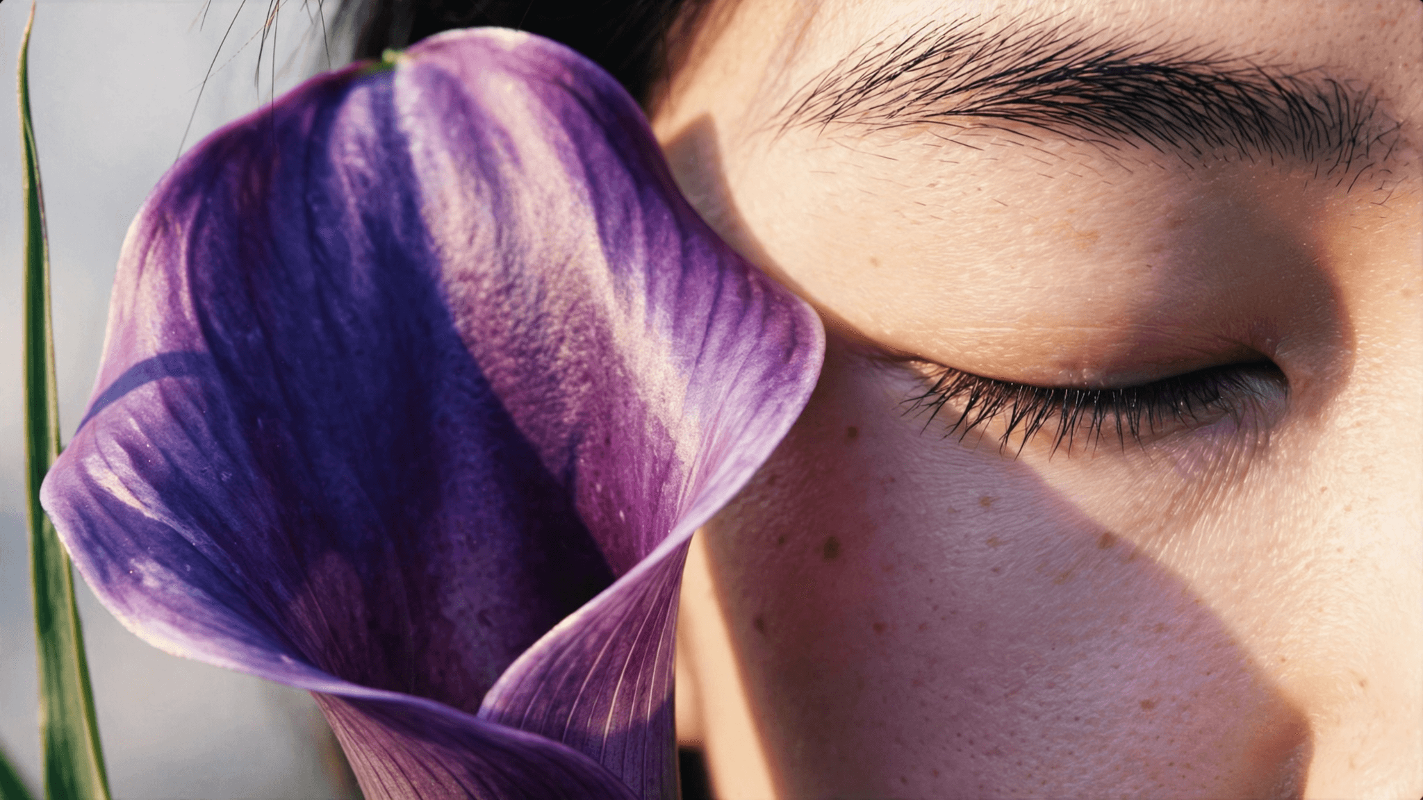 Purple Calla Lily beside Closed Eye example 14
